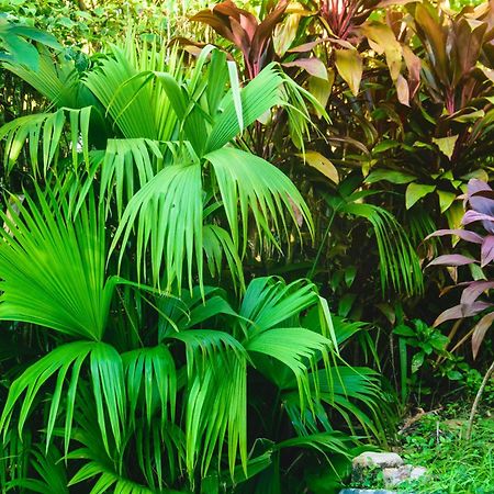 Pousada Jardim Das Bromelias Porto Seguro Eksteriør bilde