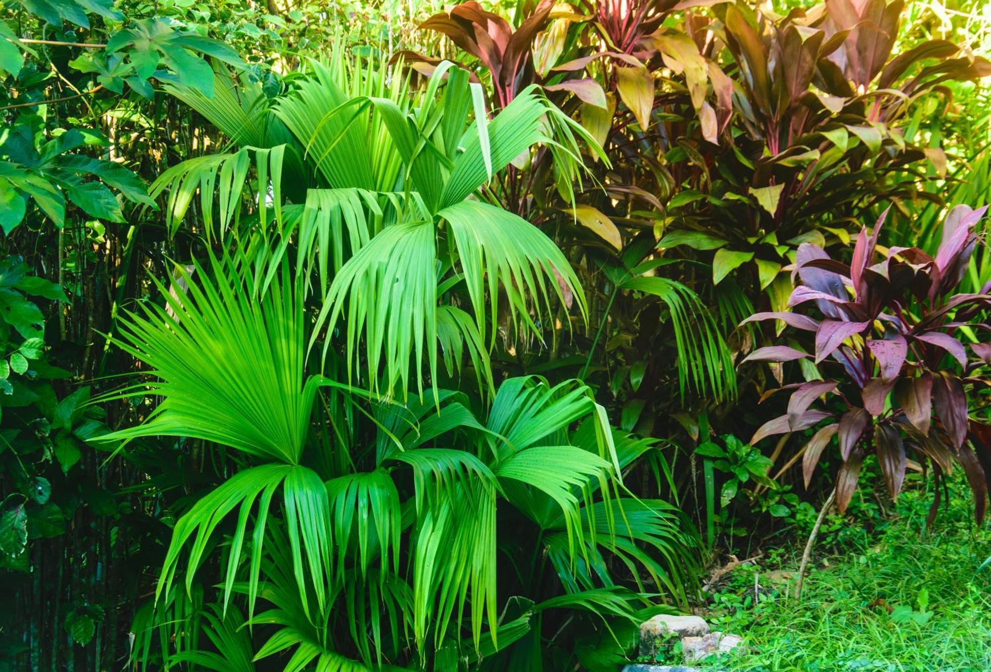 Pousada Jardim Das Bromelias Porto Seguro Eksteriør bilde